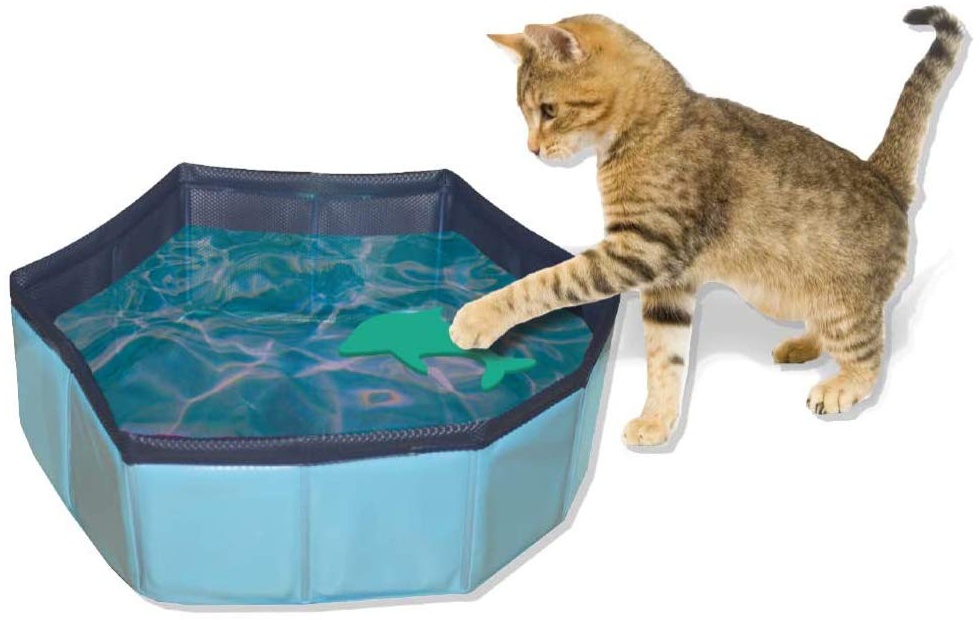 ZooMed Croci Pool Spielzeug für Katzen, 30 x 10 cm