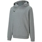 Puma teamGOAL 23 Casuals Hoody Jr medium gray heather 33 128