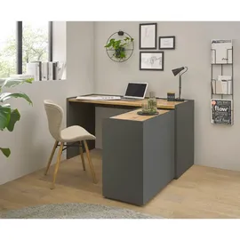 furn.design Büromöbel Set in grau matt und Wotan Eiche Holz modern mit Schreibtisch, Kommode, Aktenschrank, Regak für Homeoffice und Büro Schreibtisch mit Stauraum Center (Set 4)