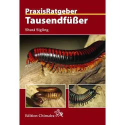 Tausendfüßer