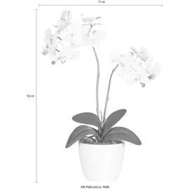 Creativ green Kunstpflanze Phalaenopsis Orchidee, Creativ green, Höhe 50 cm weiß