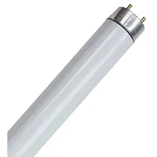 ZeXt Leuchtstofflampe 18W 36W 58W Leuchtstoffröhre 6400K – Tageslicht (18)