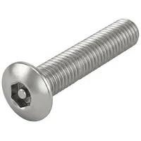 F. REYHER Nchfg. GmbH & Co. KG Diebstahlhemmende Flachkopfschraube M6 x 45 100 Stück