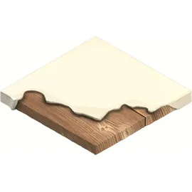 Bosch C470 Schleifpapier 115 x 107 mm 10 Stück