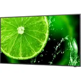 NEC MultiSync E438 43"