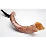 Kudu Yemenite Schofar Horn (voller poliert ca. 88,9 cm – 91,4 cm Judaica Israel