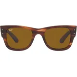 Ray Ban Ray-Ban Sonnenbrillen 0RB0840S 954/33 51