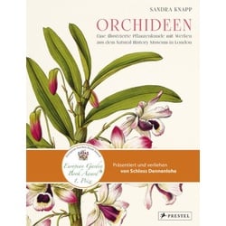 Orchideen