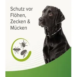beaphar Zecken- und Flohschutz Halsband reflektierend für Hunde - 65 cm