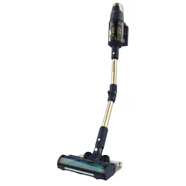 Cecotec Conga Rockstar RX70 AquaPet Flex Schwarz/Gold