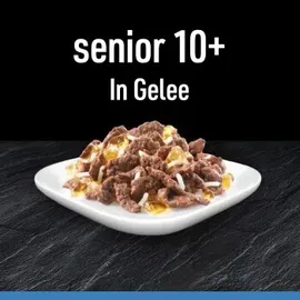 Cesar Senior 10+ Gelee 40 x 100 g