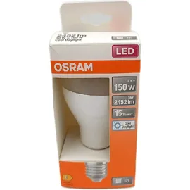 DeLock LED-Birne 150W E27 6500 K 1 St.
