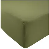 REDBEST Spannbettlaken Pittsburgh Single-Jersey Jade Größe 140x200 cm - 160x200 cm