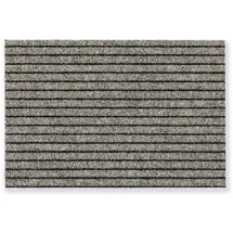 Astra Fussmatte aussen & innen - Schmutzfangmatte beige 40x60cm & 0,22cm hoch - Fußmatte für eingelassene Rahmen im Eingang - Türmatte Made in Germany