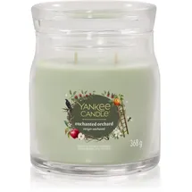 Yankee Candle Enchanted Orchard Duftkerze 567 g grün