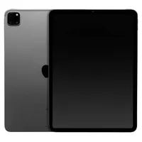 Apple iPad Pro 11" (4. Generation 2022) 256 GB Wi-Fi space grau