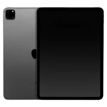 Apple iPad Pro 11" (4. Generation 2022) 256 GB Wi-Fi space grau