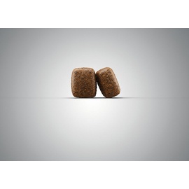 Josera Nature Energetic 2 x 12,5 kg