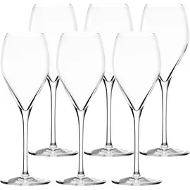 Stölzle Prestige Champagnerglas 0,345 l 6 St.