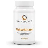 Vita-World GmbH Vitaworld Nattokinase Kapseln 90 St.