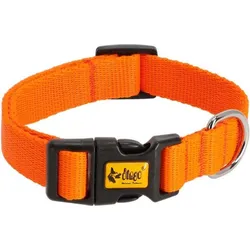 Red Dingo DINGO Energy orange - Hundehalsband - 20-32 cm (Hund, Allgemein), Halsband + Leine