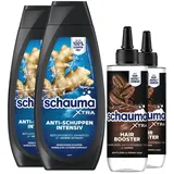 Schauma XTRA Anti-Schuppen Shampoo Intensiv (2x 400 ml) bekämpft starke Schuppen, hilft bei juckender Kopfhaut & XTRA Hair Booster Tonic (2x 200 ml) hilft Haarausfall vorzubeugen mit Koffein