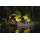 LECHUZA Canto Stone 30 high LED 30 x 30 x 56 cm steingrau