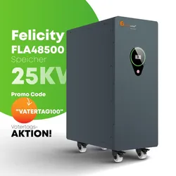 Felicity 25 kWh Speicher | FLA48500 | LiFePO4 Lithium Solarbatterie 48V 500Ah | Versandkostenfrei Aktion