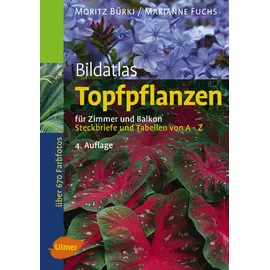 Ulmer Eugen Verlag Bildatlas Topfpflanzen für Zimmer und Balkon