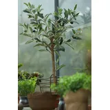 Künstlicher Olivenbaum - Carina | 65 cm
