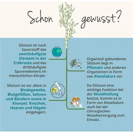 Vegavero Natürliches Silizium Kapseln 120 St.