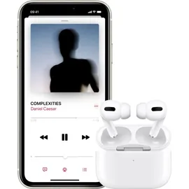 Apple AirPods Pro (1. Generation)