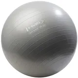 HMS Gymnastikball gray 65CM