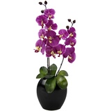 Flair Flower Orchidee in Vase