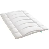 Frankenstolz f.a.n. Schlafkomfort Green »Tegernsee« Bettdecke Duo-Steppbett 200x200 cm 1450g