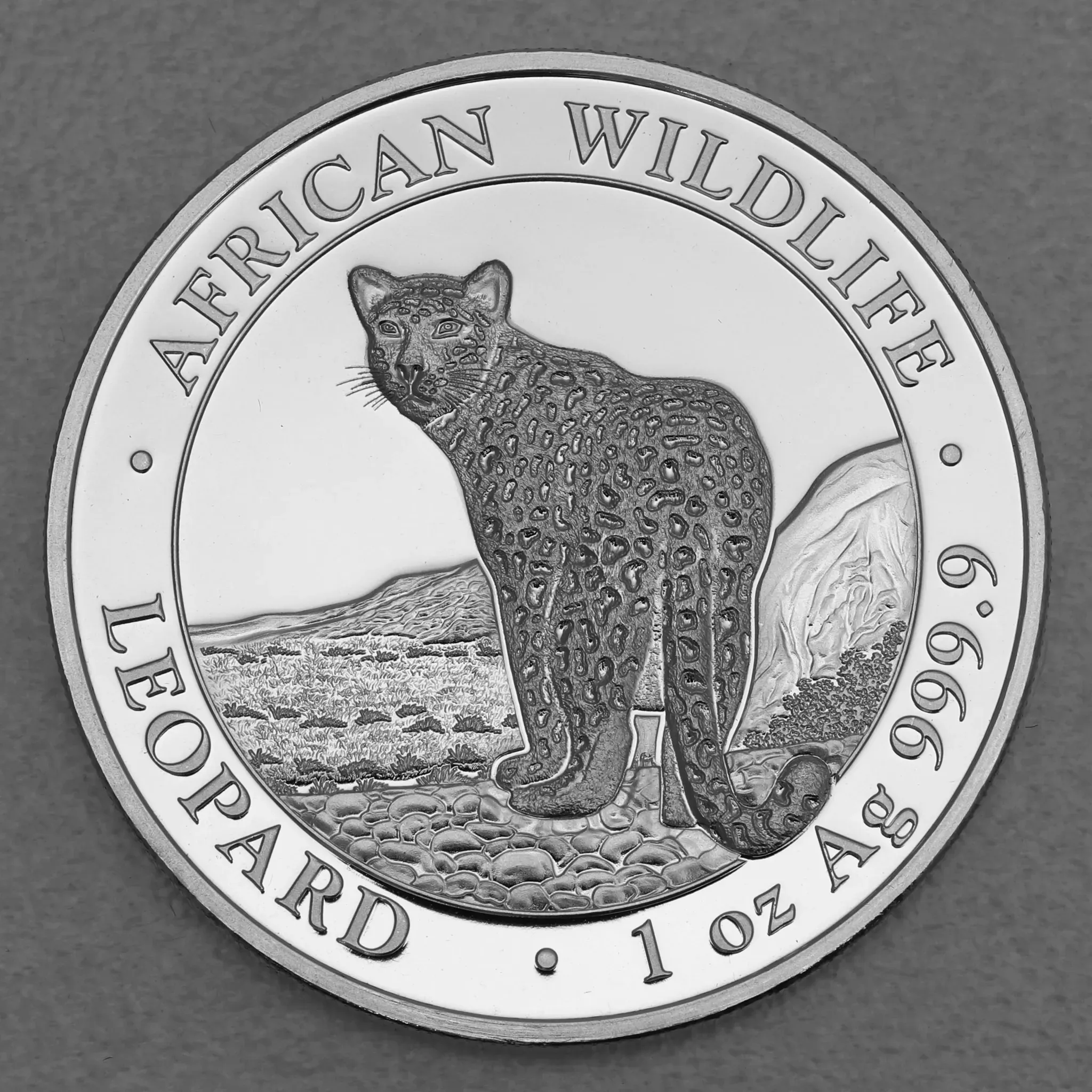 Silbermünze 1oz Somalia Leopard 2018 African Wildlife (Somalia)