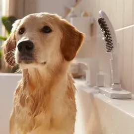 Hansgrohe DogShower 3jet, mattweiß