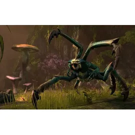 The Elder Scrolls Online: Tamriel Unlimited (Xbox One)