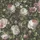 Rasch Textil Rasch "Papiertapete 278316 mit Rosen Grün B:53m L:10,05m, Papier, Tapeten, Vintage