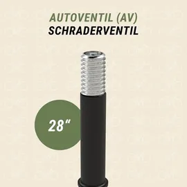 Prophete Schlauch 28 Zoll 40 mm Autoventil