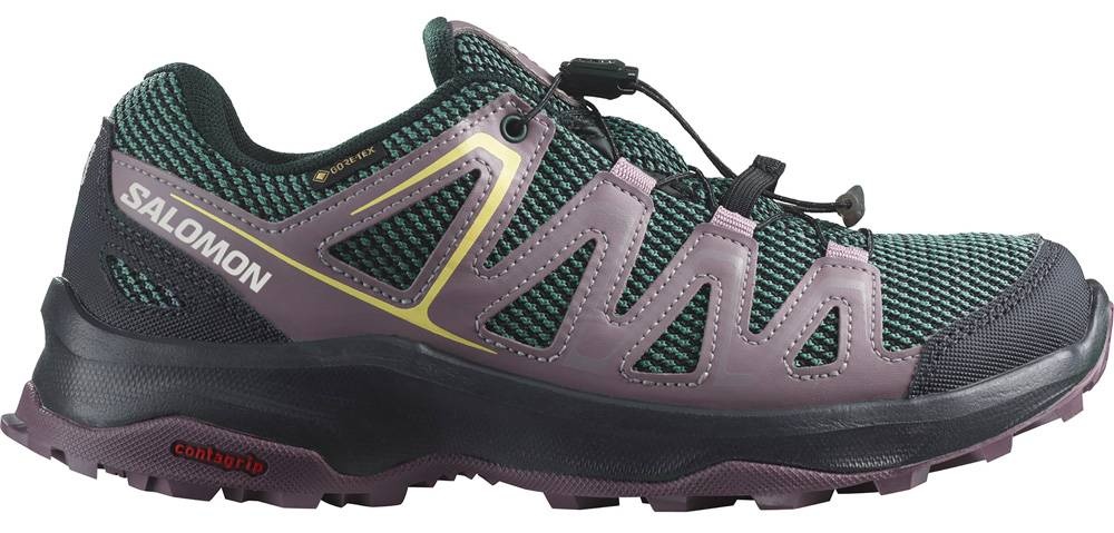 Salomon Custer GTX W Damen Wanderschuh ebony/moonscape/quail