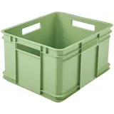 KEEEPER Transportbox Euro-Box XL 43 x 35 x 24 cm 1-tlg. grün
