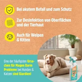 GreenHero Giardien-Ex Spray 500 ml