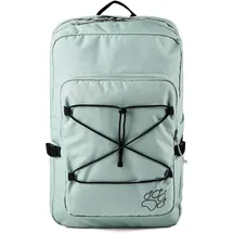 Jack Wolfskin Berkeley 24 24 l grau/grün