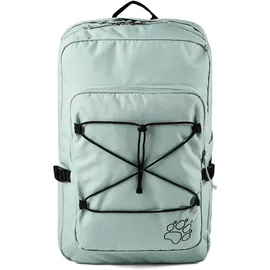 Jack Wolfskin Berkeley 24 24 l grau/grün
