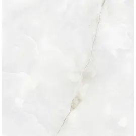 Euro Stone Bodenfliese Feinsteinzeug Bianco Christal 120 x 120 cm 2 St.