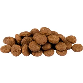 CARNILOVE Reindeer Adult 1,5 kg