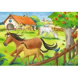 Ferien auf dem Pferdehof