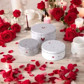 Boltze Dosen zur Aufbewahrung ANELLA Ø 14-20 cm 3-tlg. grau