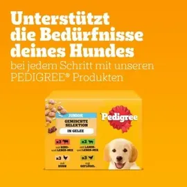 PEDIGREE Junior Nassfutter 12 x 100 g